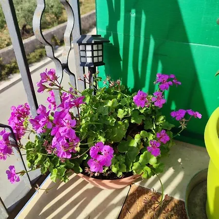 Casa Vacanze Rosina Lägenhet